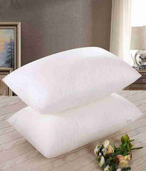 Pillow with Filling- Vacuumed